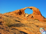 arsenic arch